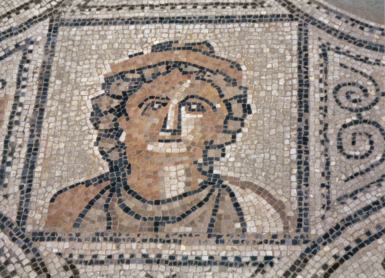 Romersk kvinne, fra gulvet i et hus (mosaikk) av Roman