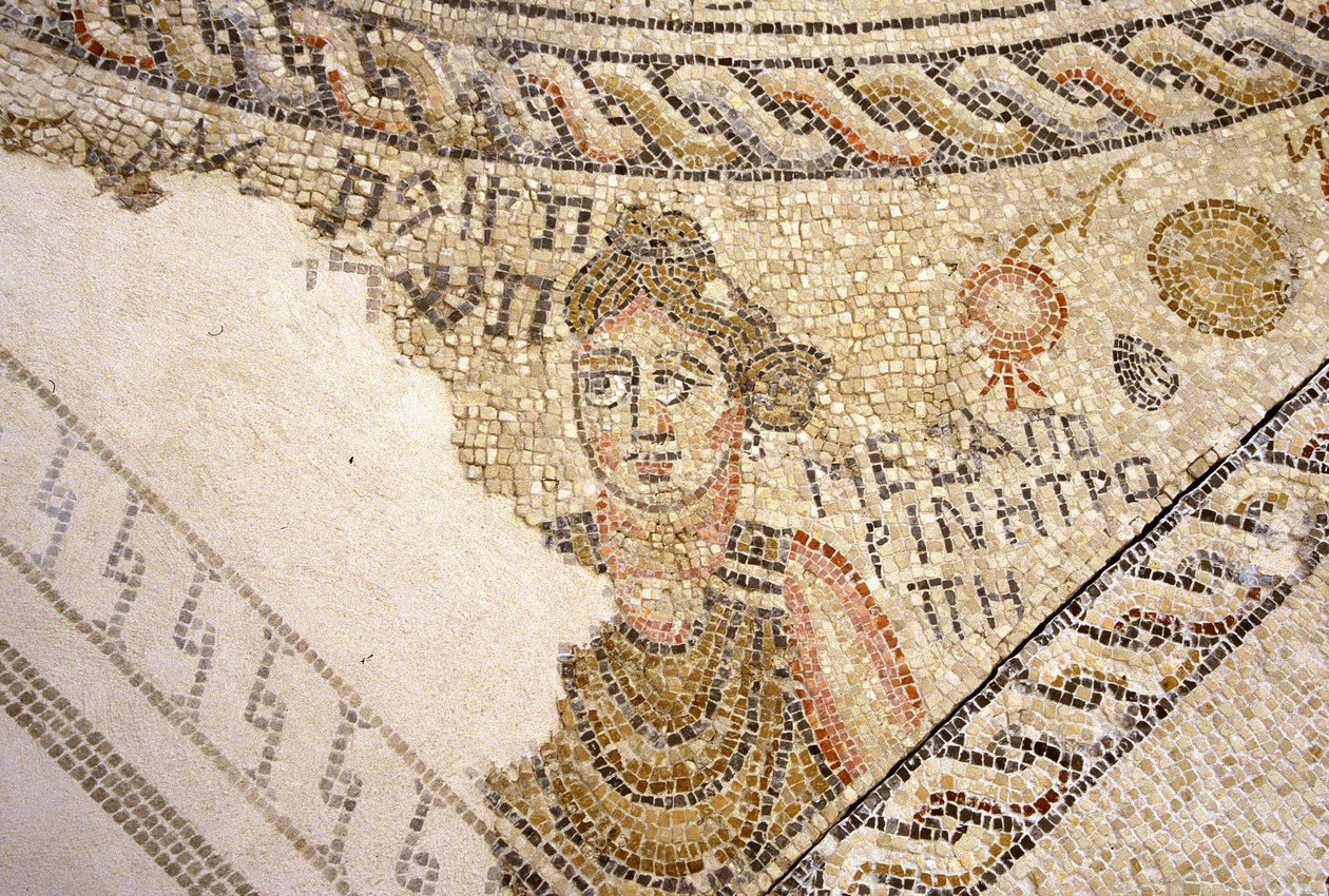 Sepphoris mosaikk, Tzippori (mosaikk) av Roman