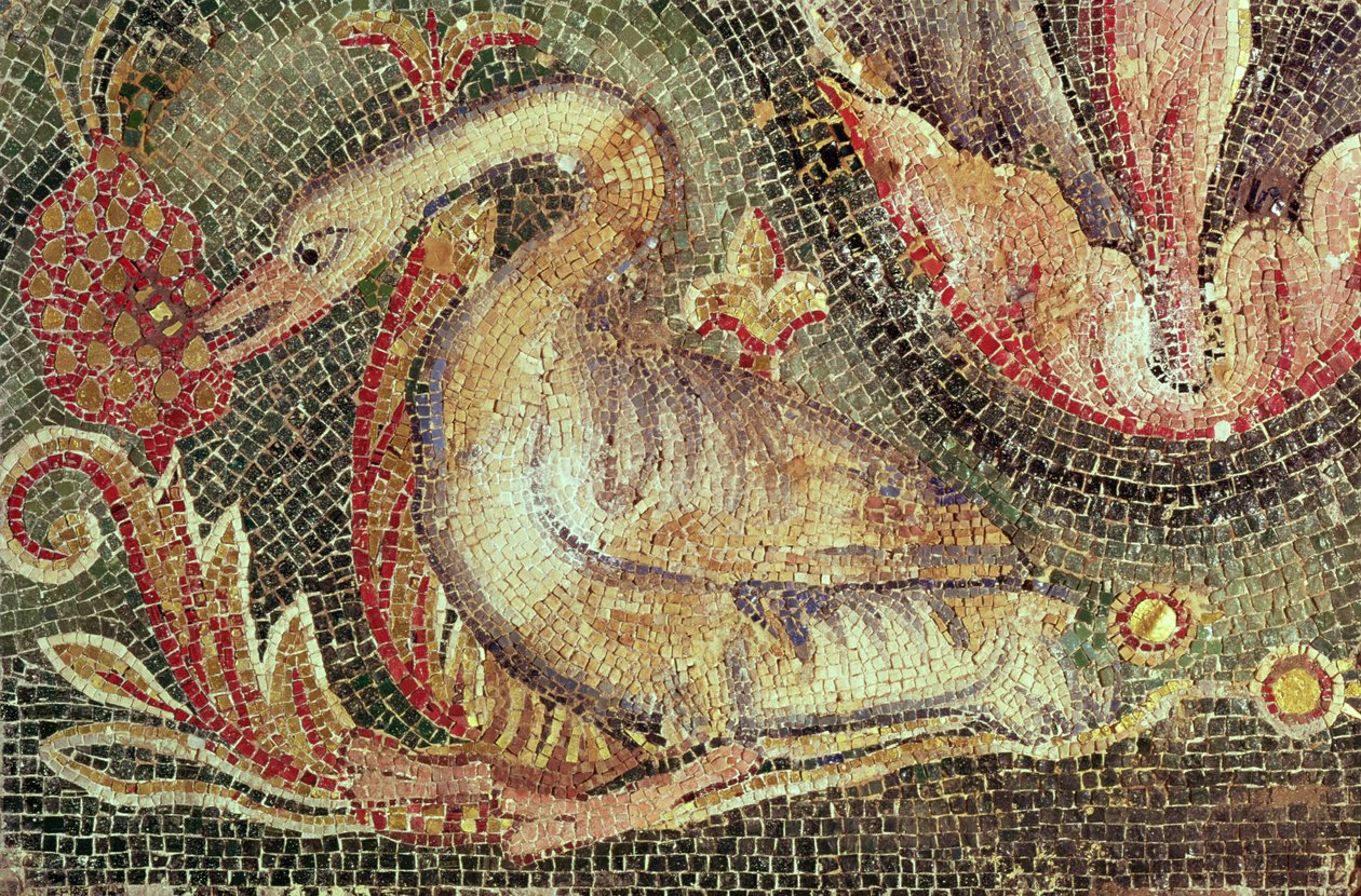 Svane, restaurert ca. 1200 (mosaikk) av Roman