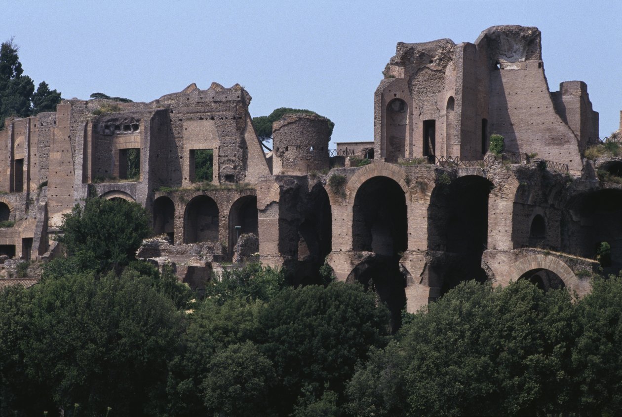 Utsikt over Palatinen fra Circus Maximus (fargebilde) av Roman