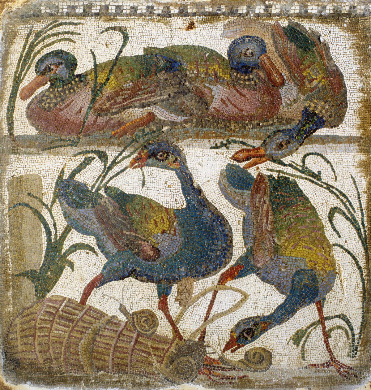 Vannfugler (mosaikk) av Roman