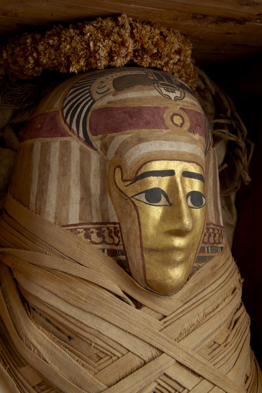 Ptolemaisk kiste, mumie med forgylt maske og blomsterkranser (sypresstre) av Roman Period Egyptian