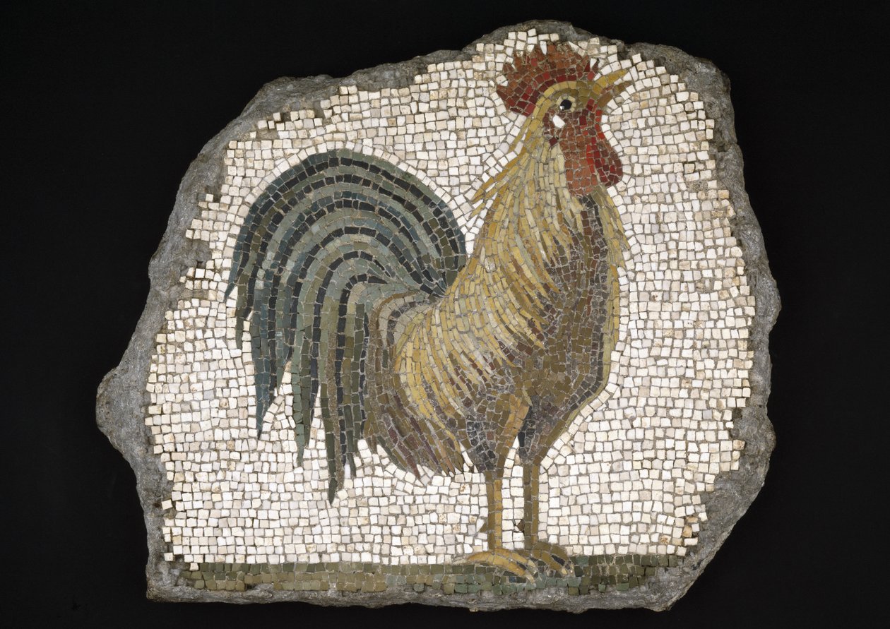 Hane (mosaikk) av Roman