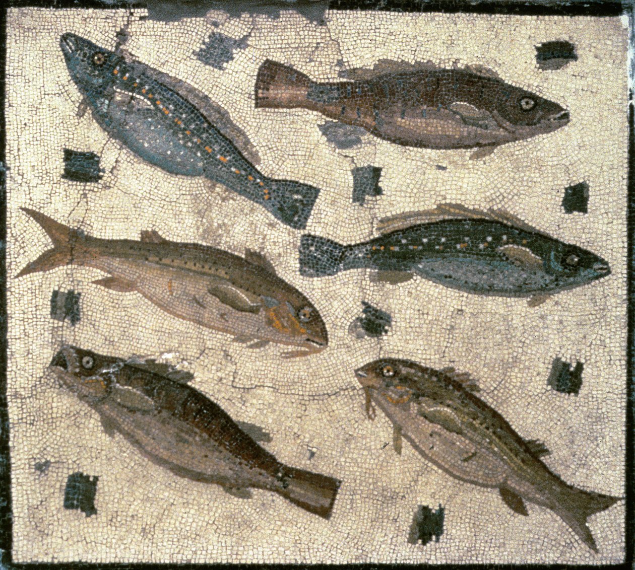 Fisk (mosaikk) av Roman
