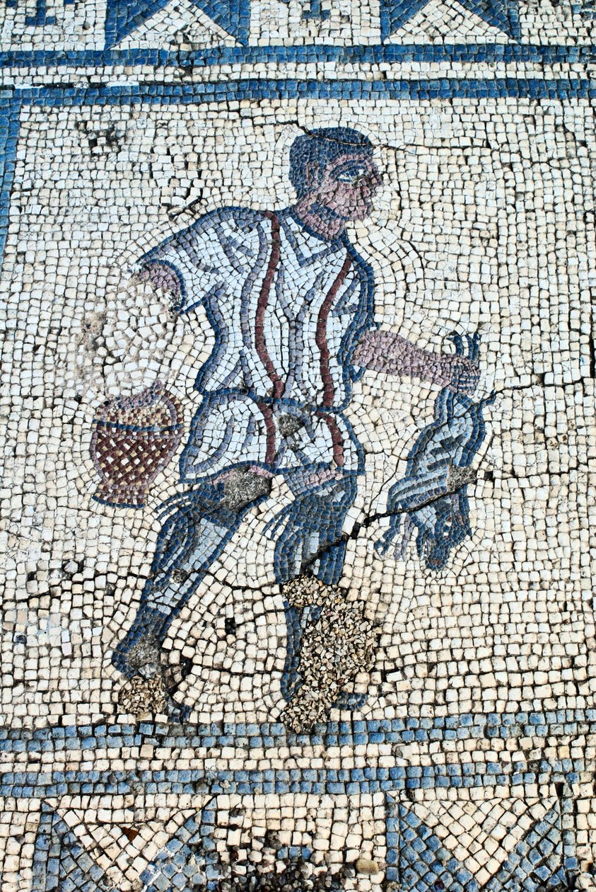 Jeger i den romerske hagen (mosaikk) av Roman