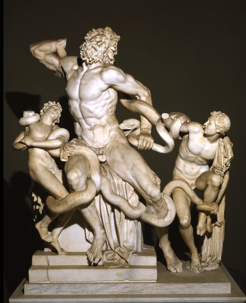 Laocoön og hans sønner (marmor) av Roman
