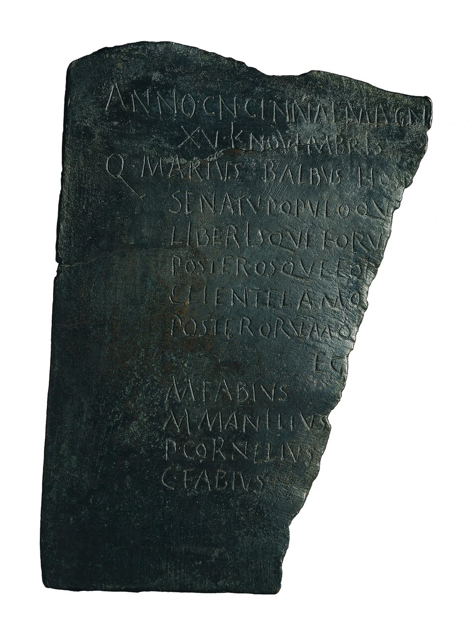 Sykehusstyret av Roman