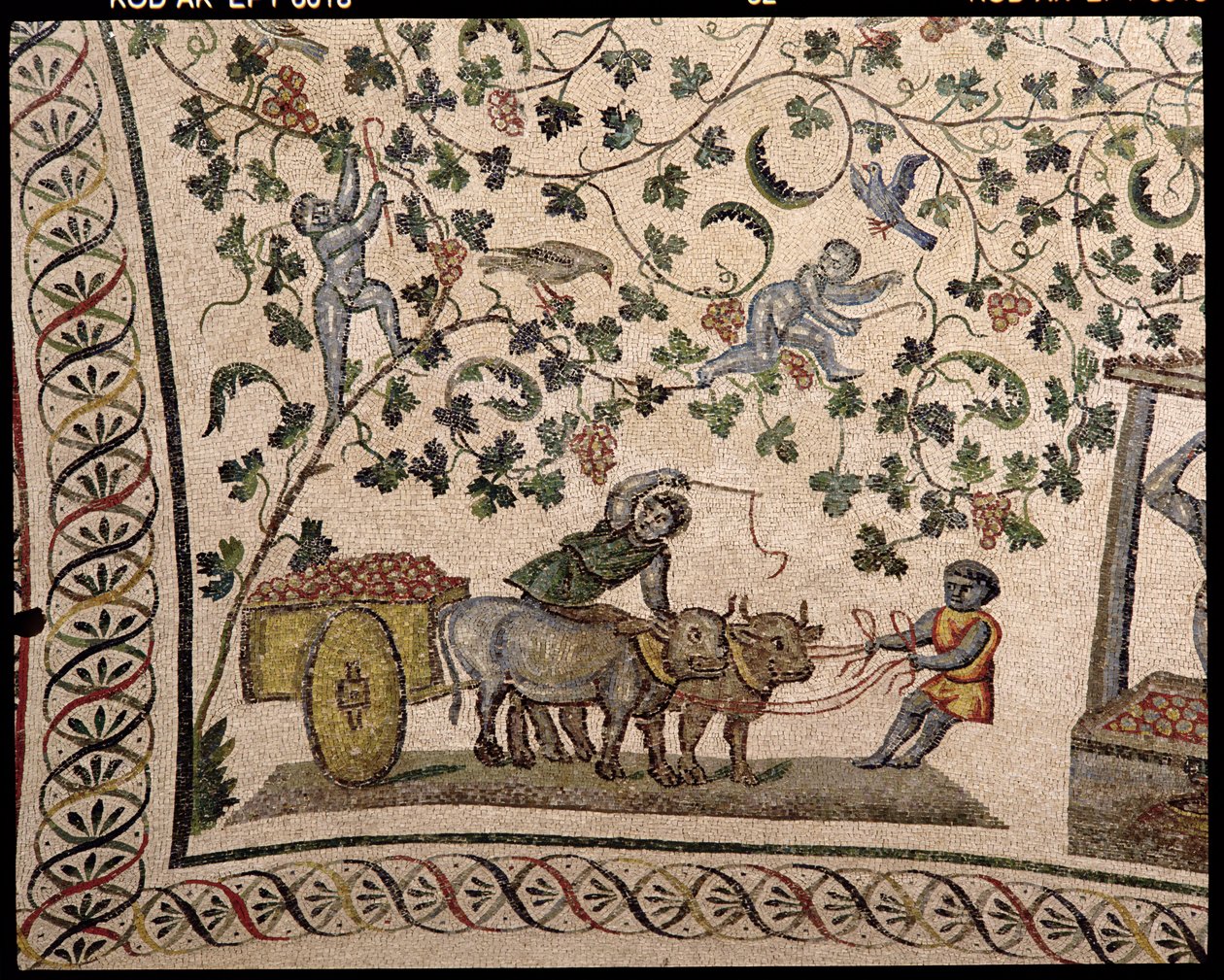 The Grape Harvest (mosaikk) av Roman