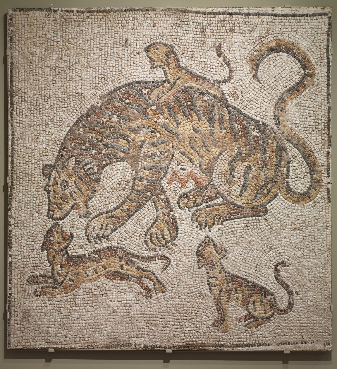 Tigress og unger, ca. 300 e.Kr av Roman