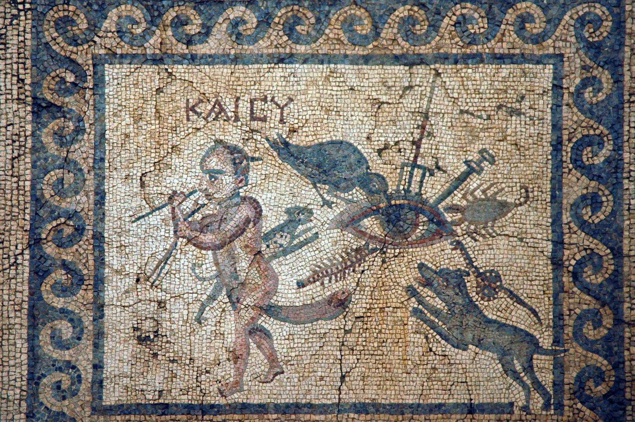 Ukjent bilde av Roman