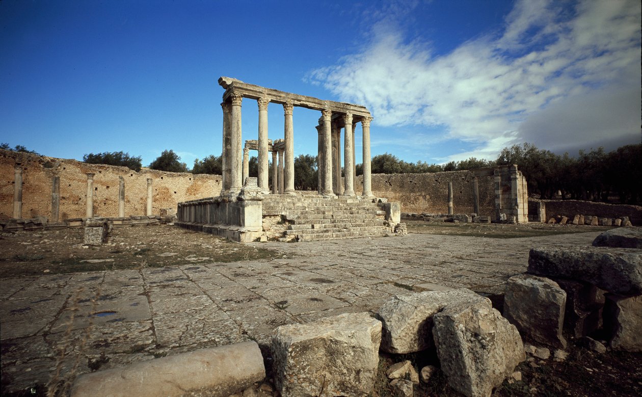 Temple of the Celestial Juno av Roman Roman