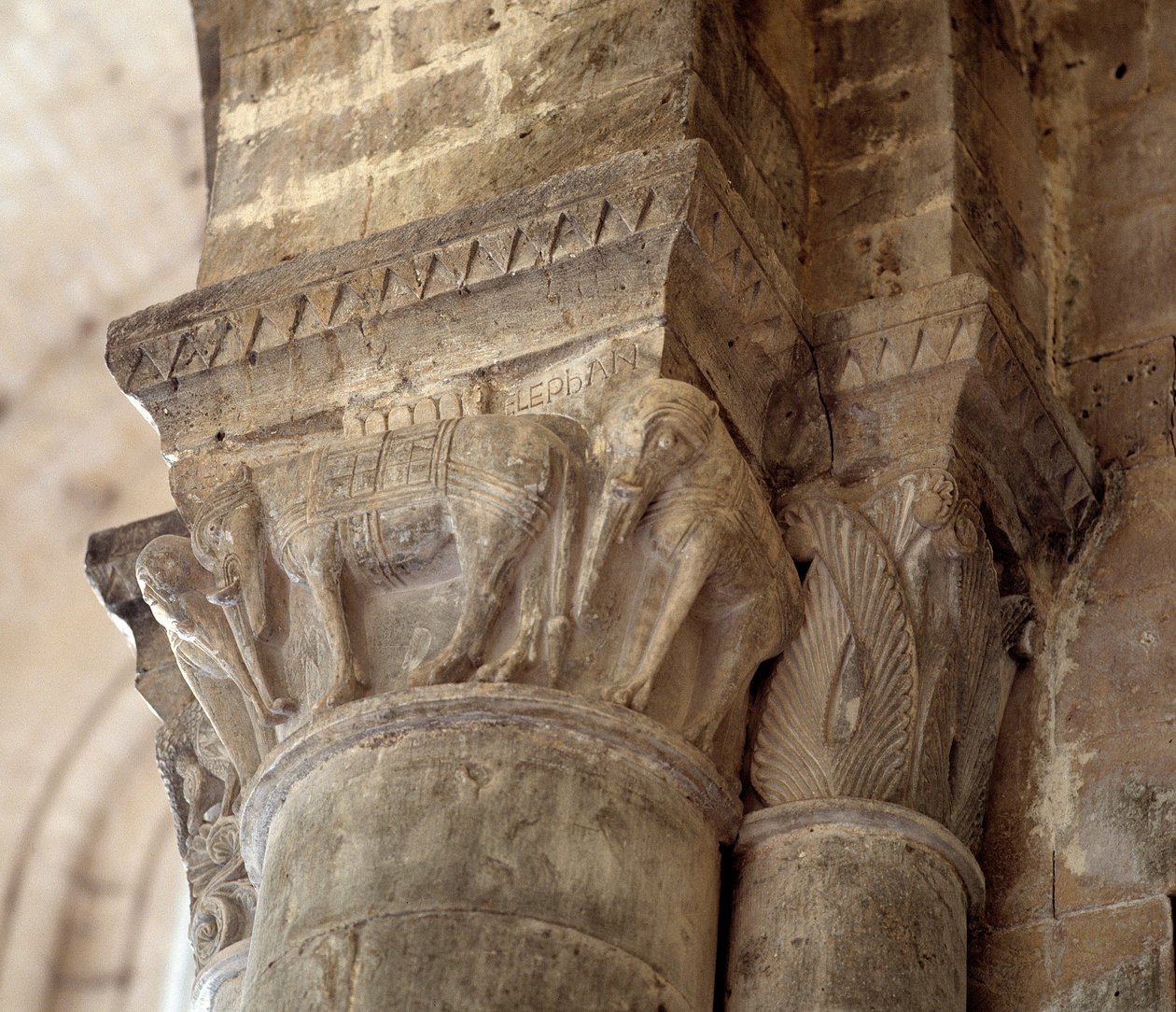 Elefanter (utskåret hovedstad i skipet av Romanesque