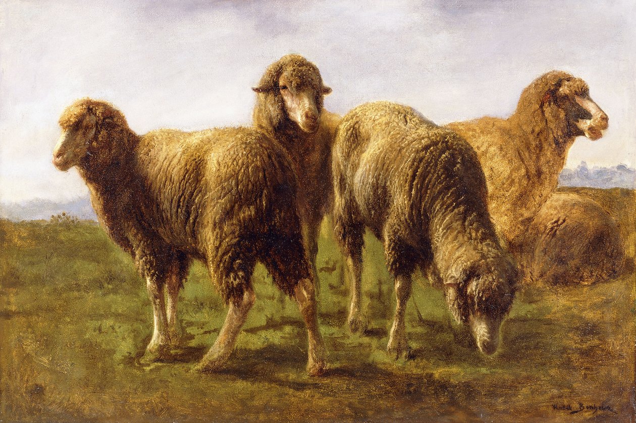 Sauer beiter i en eng, av Rosa Bonheur