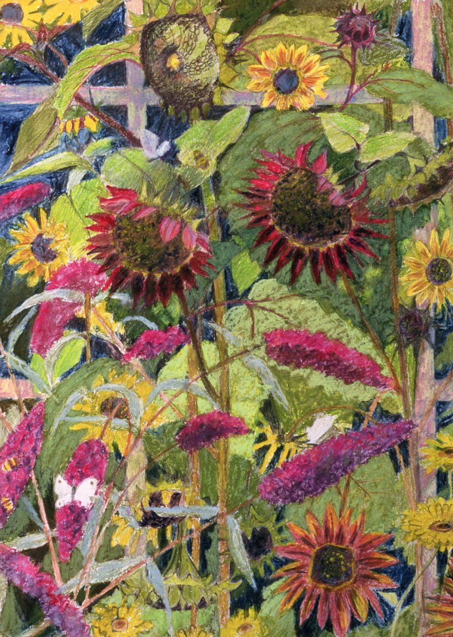 Flowers of the Sun (olje og pastell på papir) av Rosalie Bullock