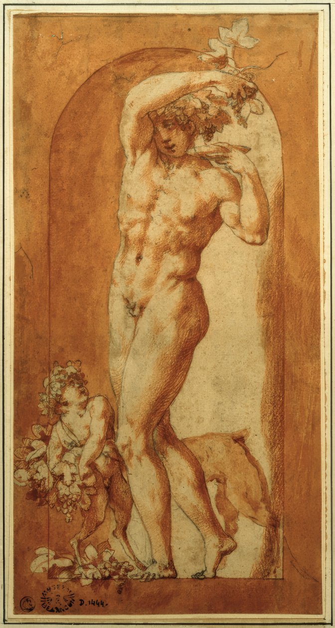 Bacchus i nisje av Rosso Fiorentino