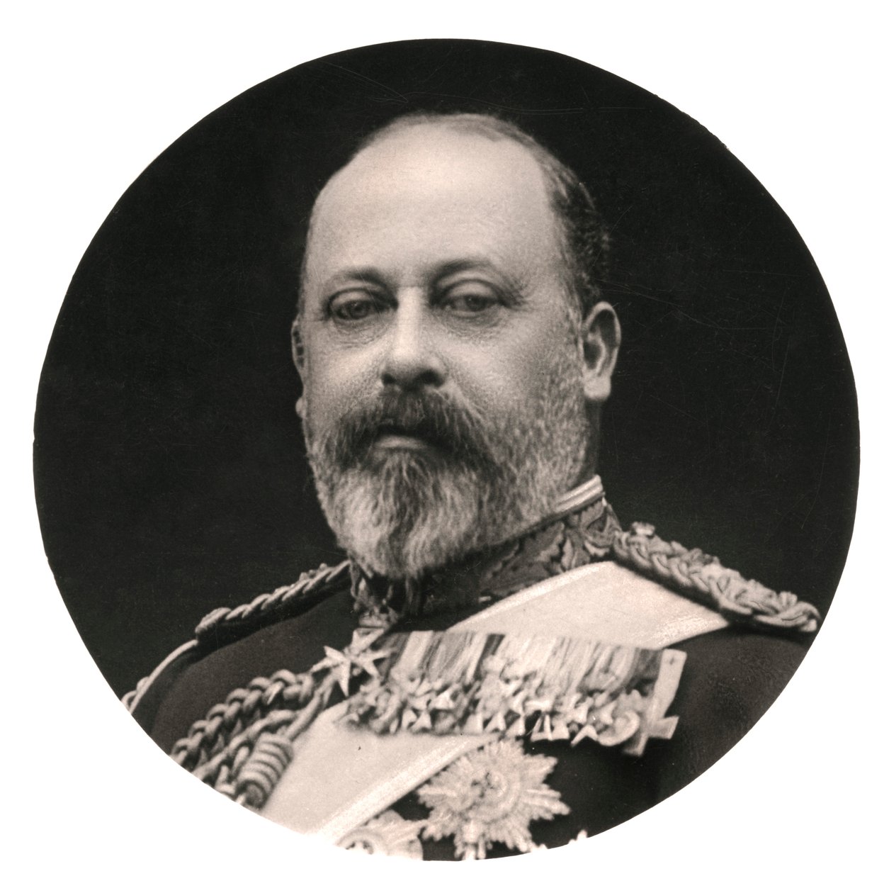 Kong Edward VII, 20. århundre. av Rotary Photo