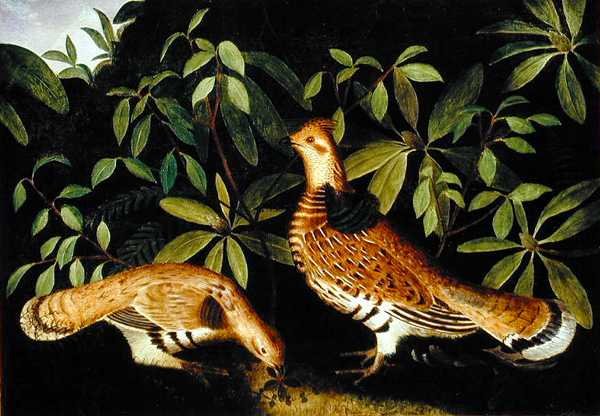 To røffe ryper i kratt av Rubens Peale