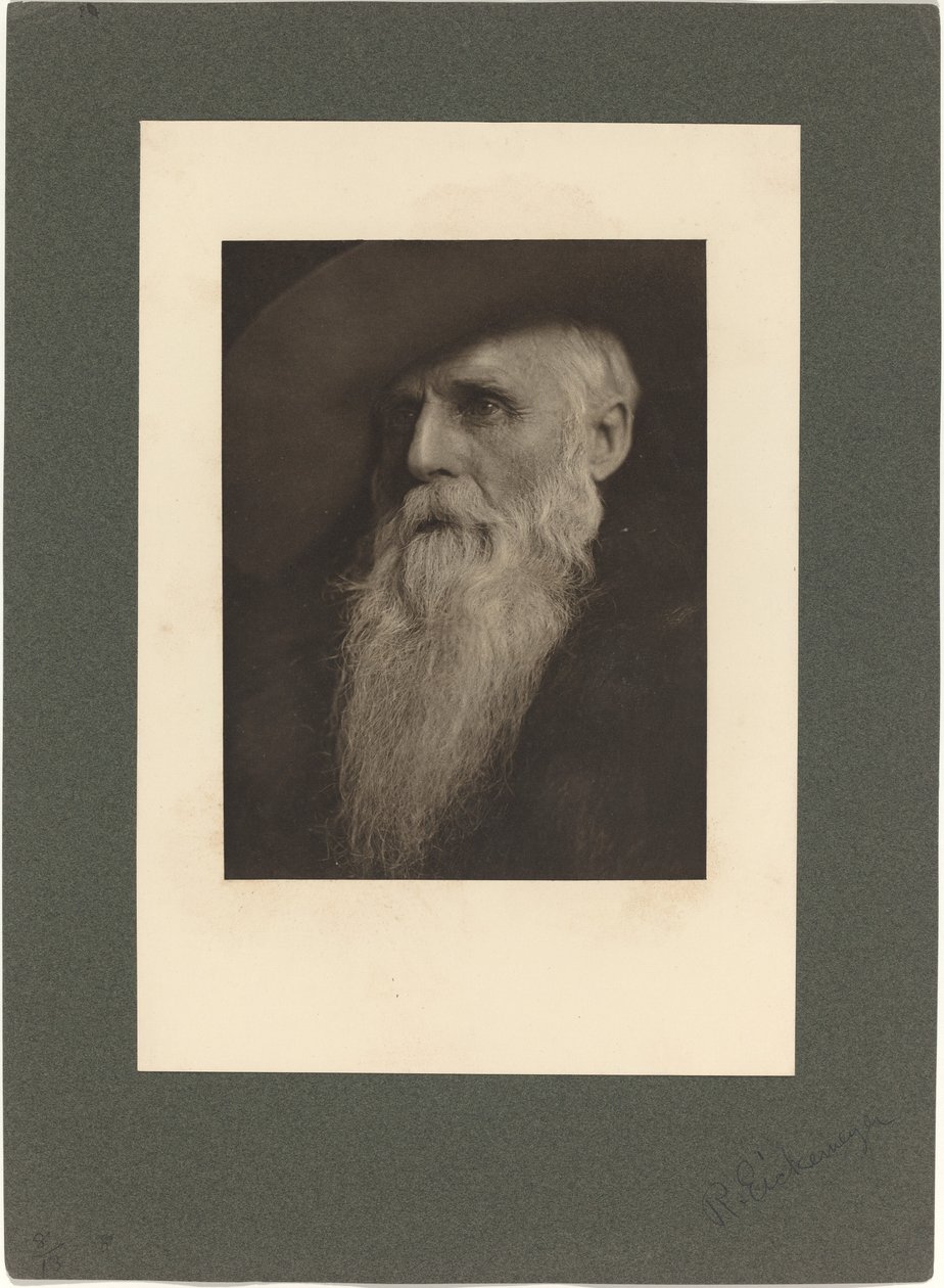 The Ranchman, 1901. av Rudolf Eickemeyer Jnr