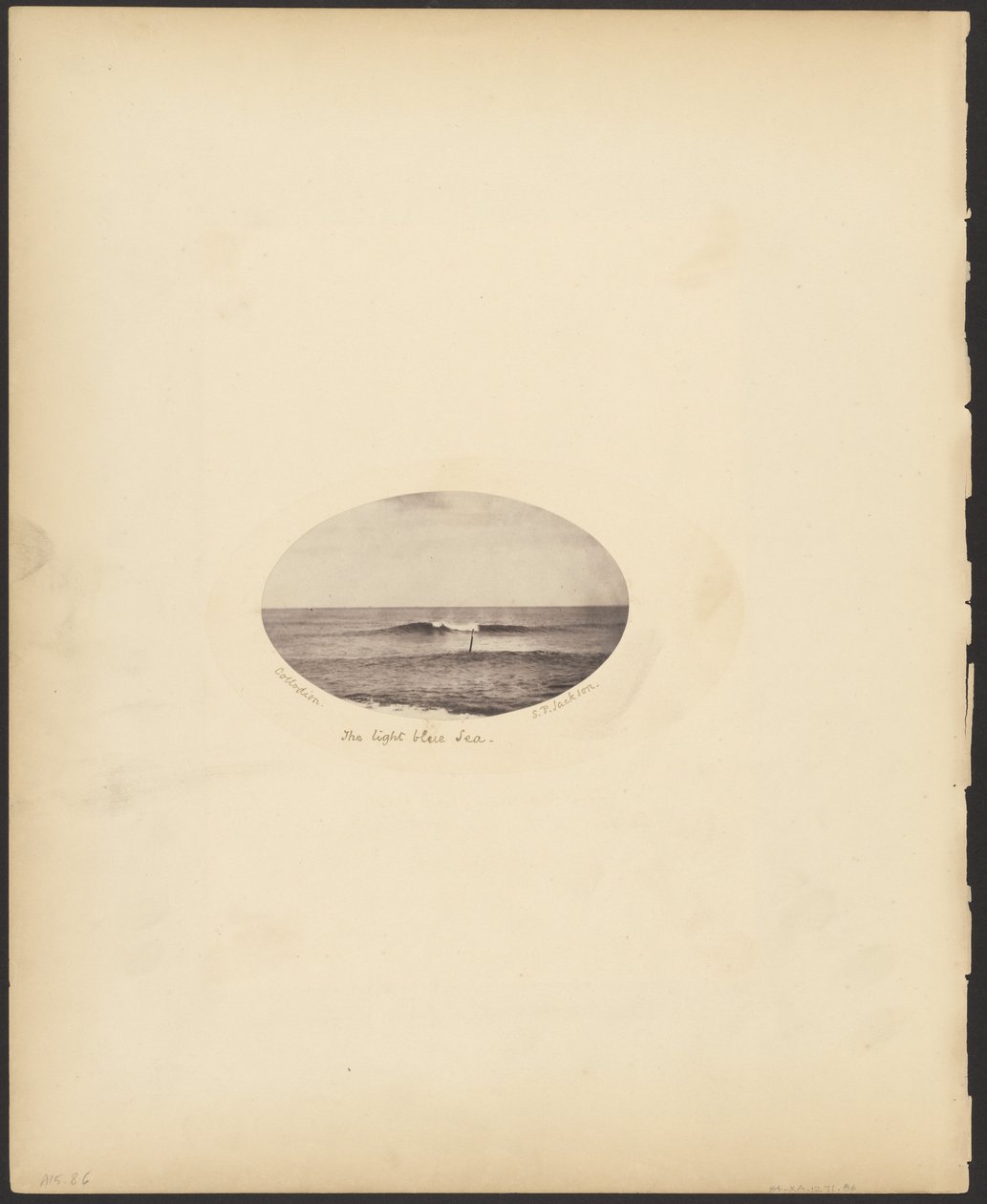  av S. P. Jackson