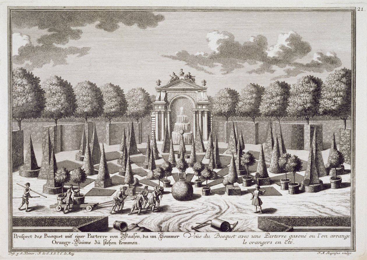 En parterre med appelsintrær i hagen til Lichtenstein-palasset, Wien, gravert av Franz Michael Regenfus (ca. 1712-80), utgitt ca. 1724-37 av Salomon Kleiner