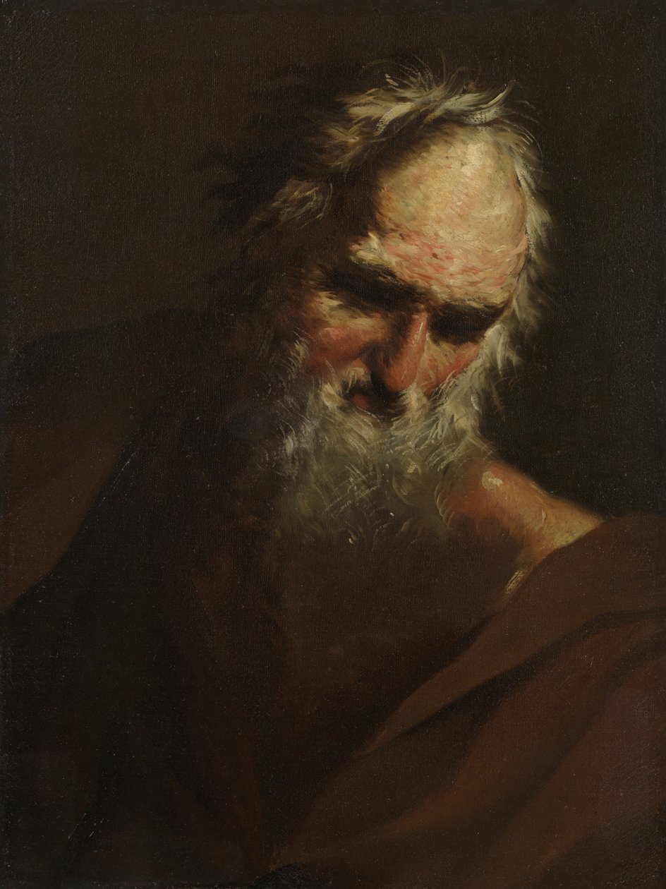 Hodet til en skjegget mann, ca. 1640-80 av Salvator Rosa