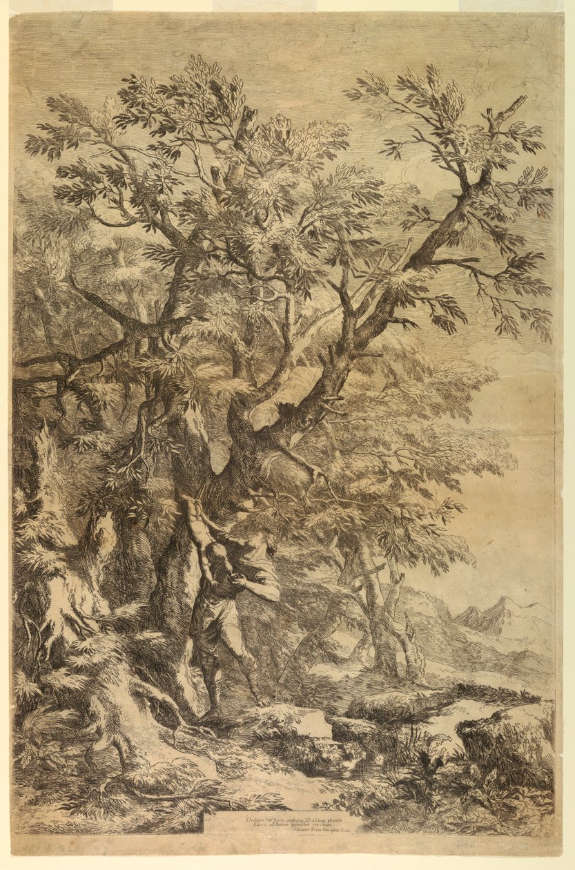 Ødipus eksponert på fjellet Cithaeron av Salvator Rosa