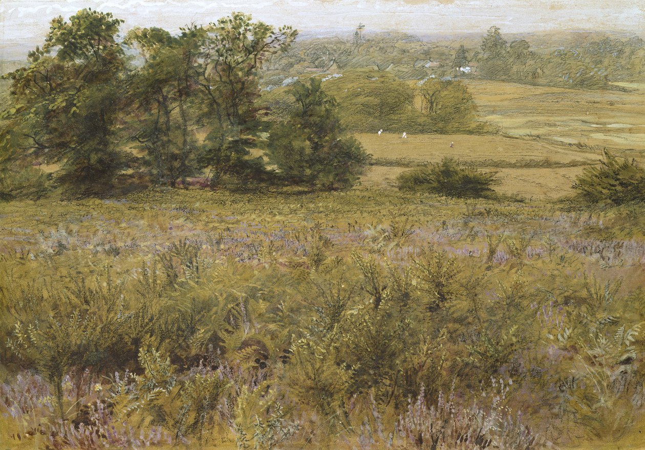 The Furze Field, 1800-tallet (akvarell) av Samuel Palmer
