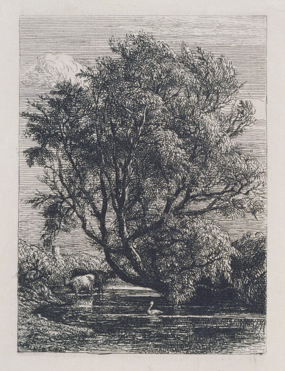 Willow av Samuel Palmer