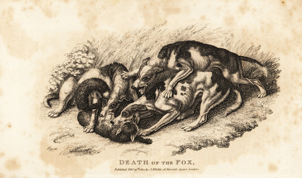Revens død av Samuel (after) Howitt