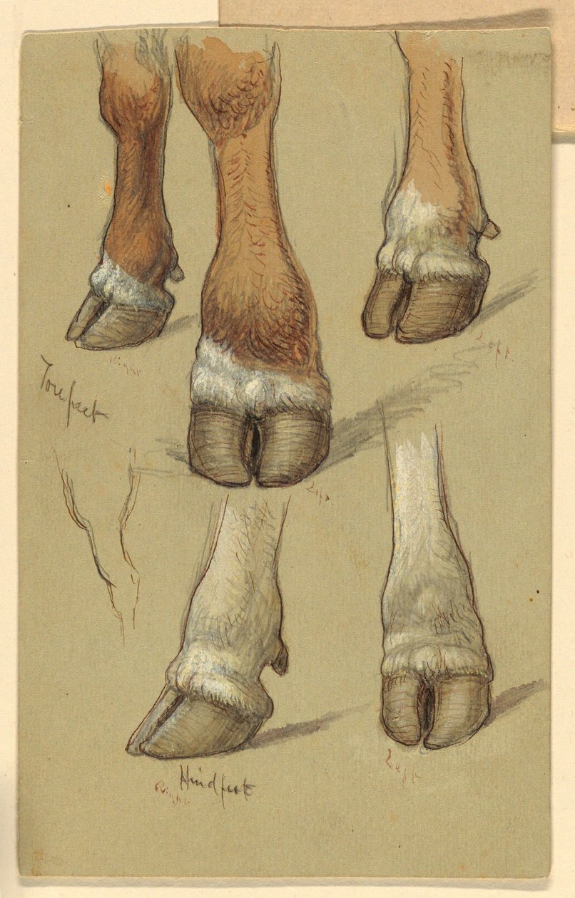  av Samuel Colman