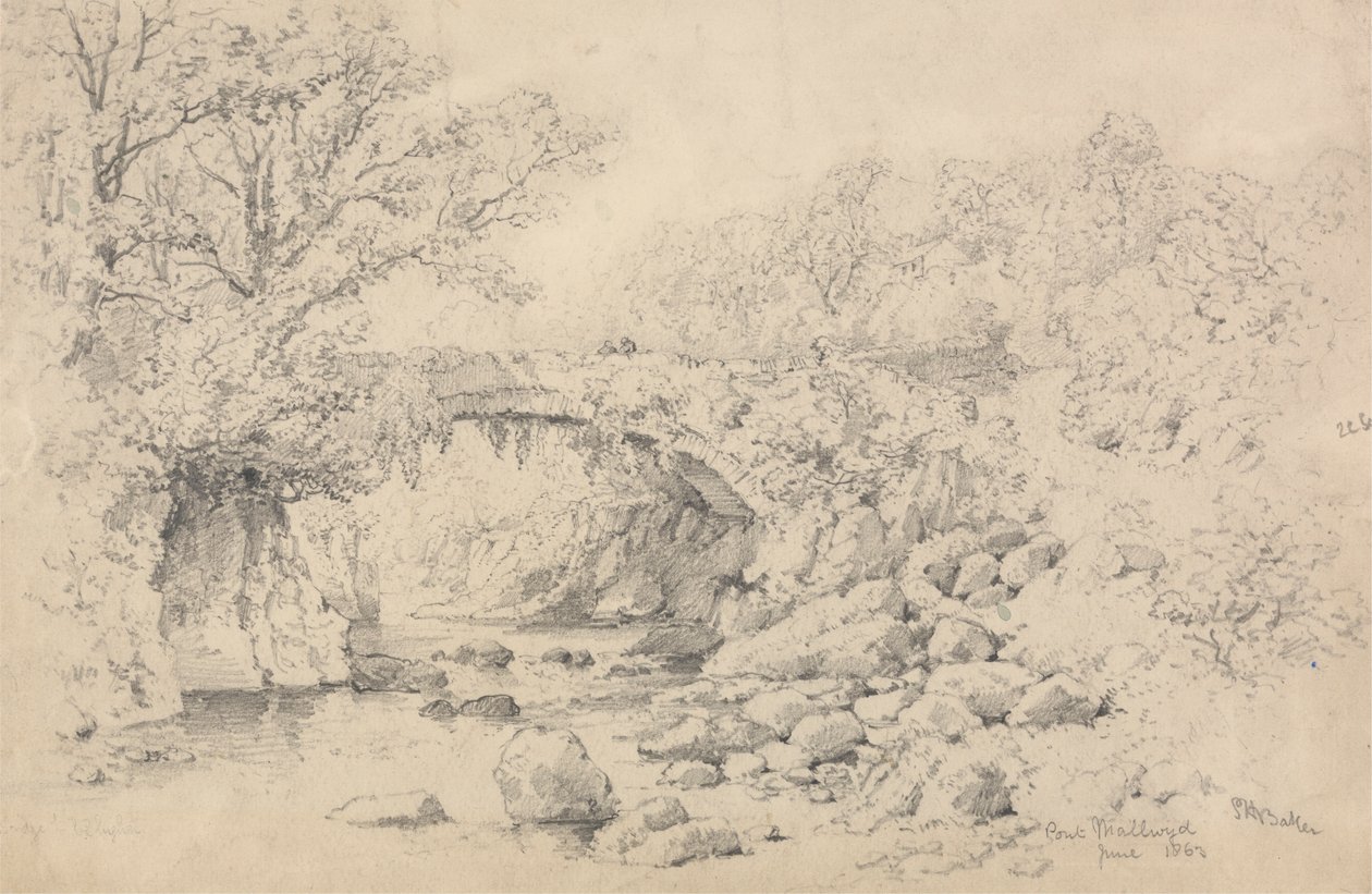 Mallwyd Bridge av Samuel Henry Baker
