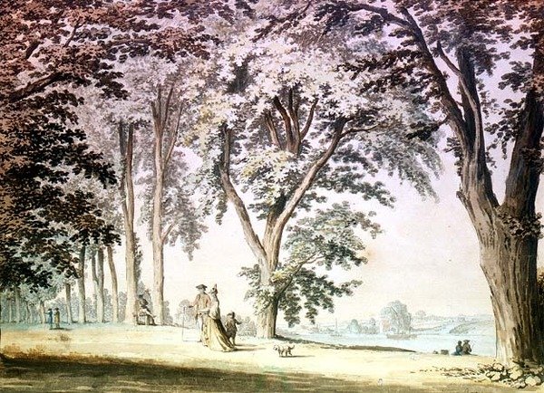 Trær ved Themsen overfor Hammersmith av Samuel Hieronymous Grimm