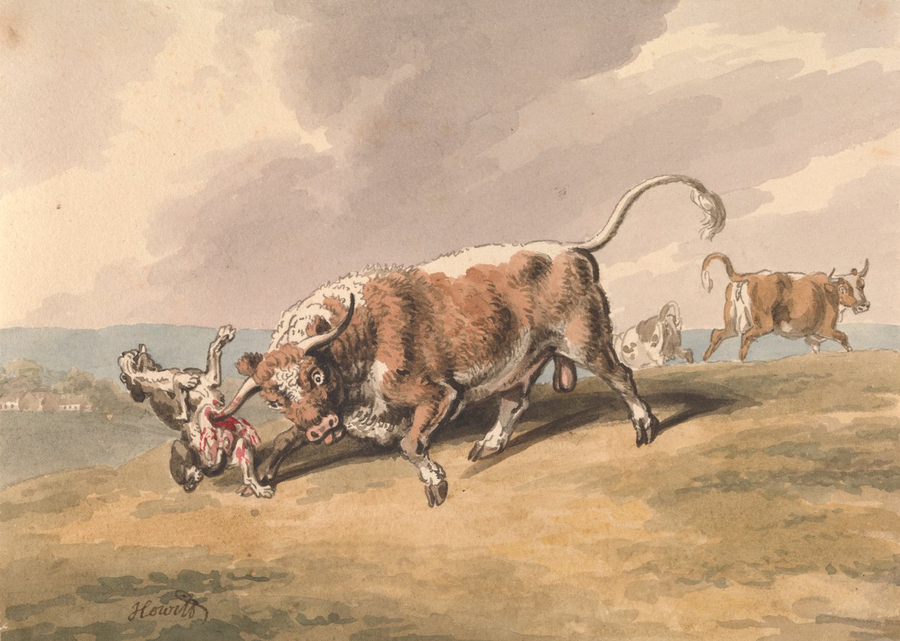 En okse som angriper en hund av Samuel Howitt