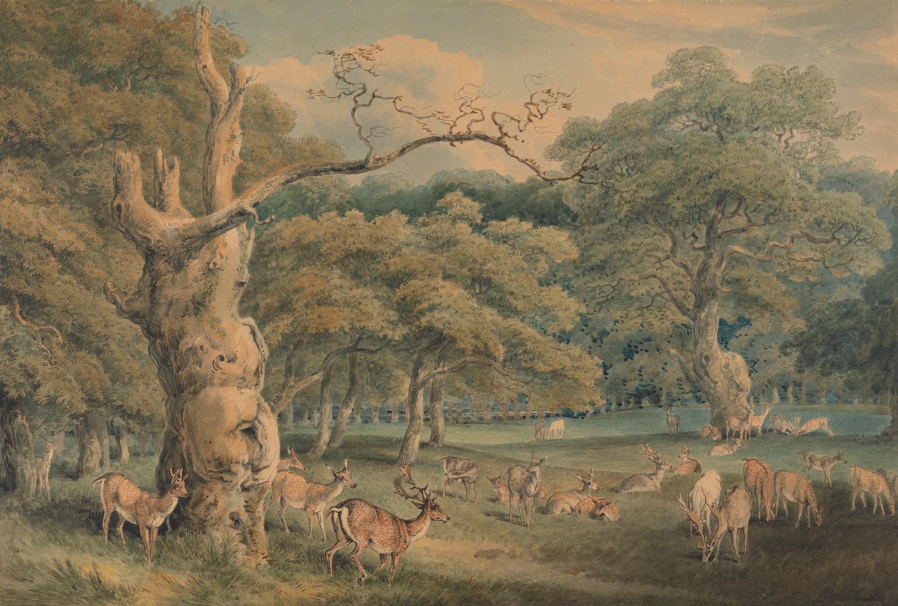 Hearne's Oak, Windsor Forest av Samuel Howitt