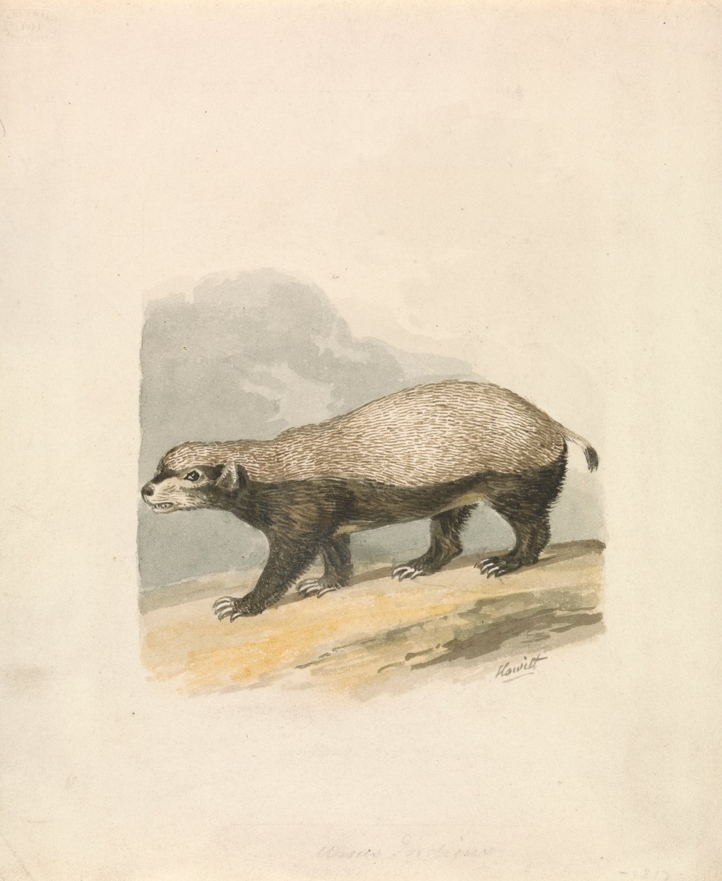Honninggrevling av Samuel Howitt
