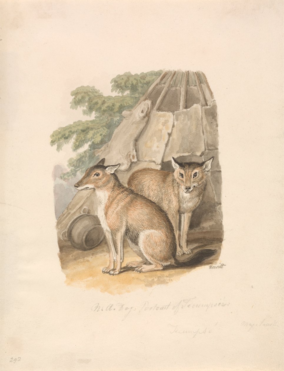 To huskyer av Samuel Howitt