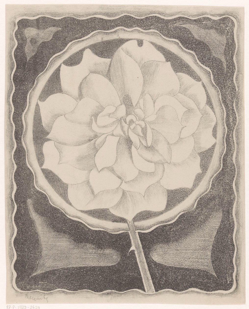 Roos av Samuel Jessurun de Mesquita (signed by artist)