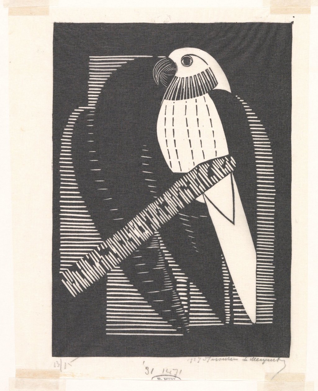 Parakitt (parakitter) av Samuel Jessurun de Mesquita