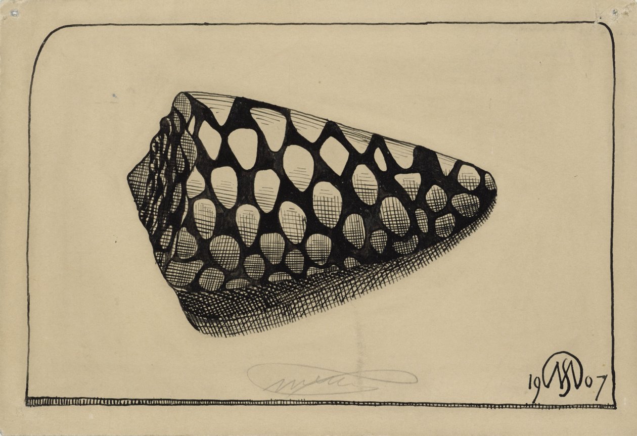 Shell, til høyre av Samuel Jessurun de Mesquita