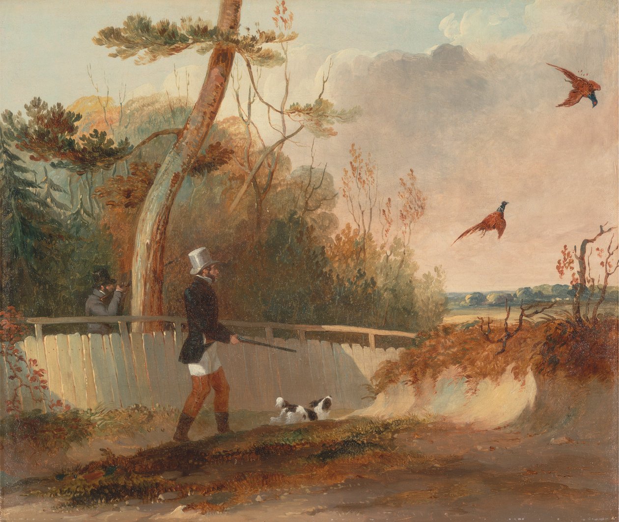 Fasanskyting av Samuel John Egbert Jones
