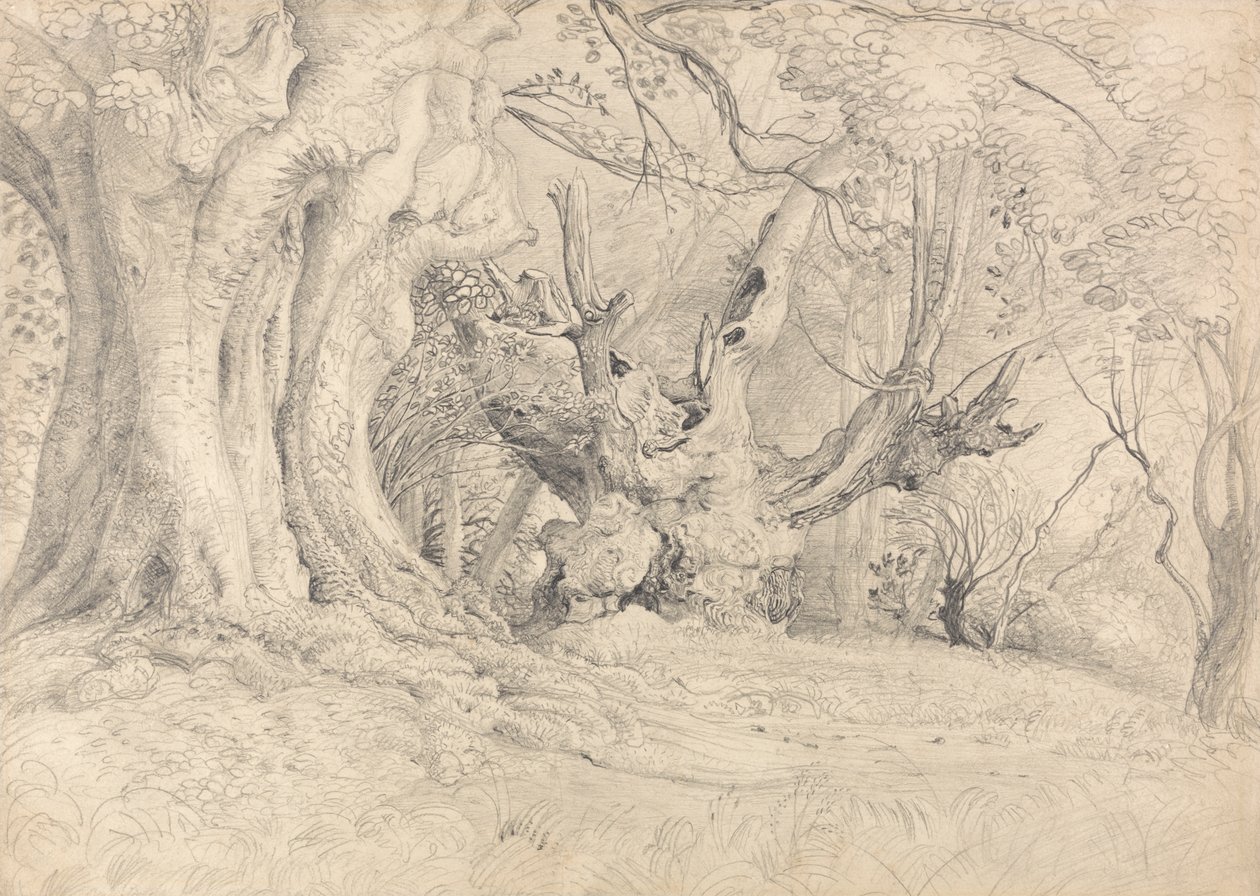 Gamle trær, Lullingstone Park av Samuel Palmer