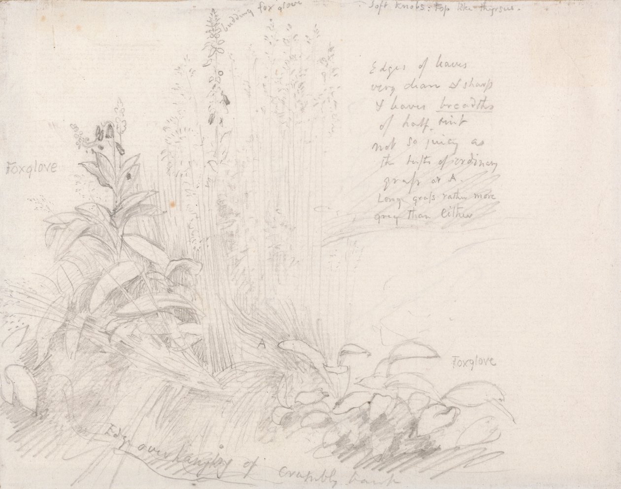 Revehansker av Samuel Palmer