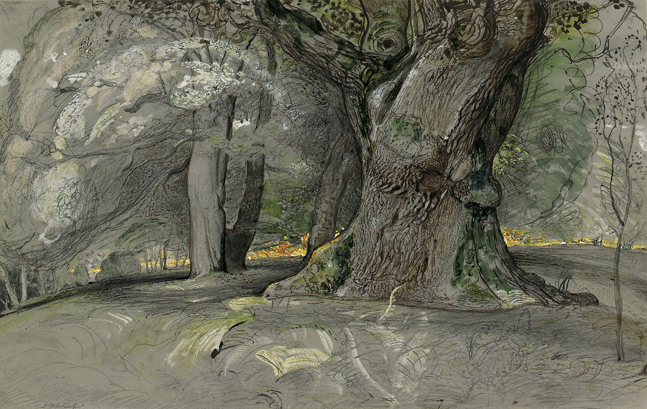 Eiketre og bøk, Lullingstone Park av Samuel Palmer