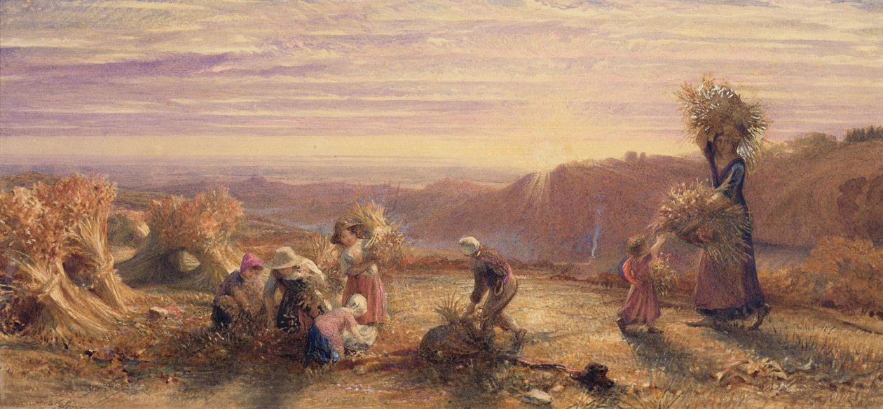 Solnedgang over Gleaning Fields av Samuel Palmer