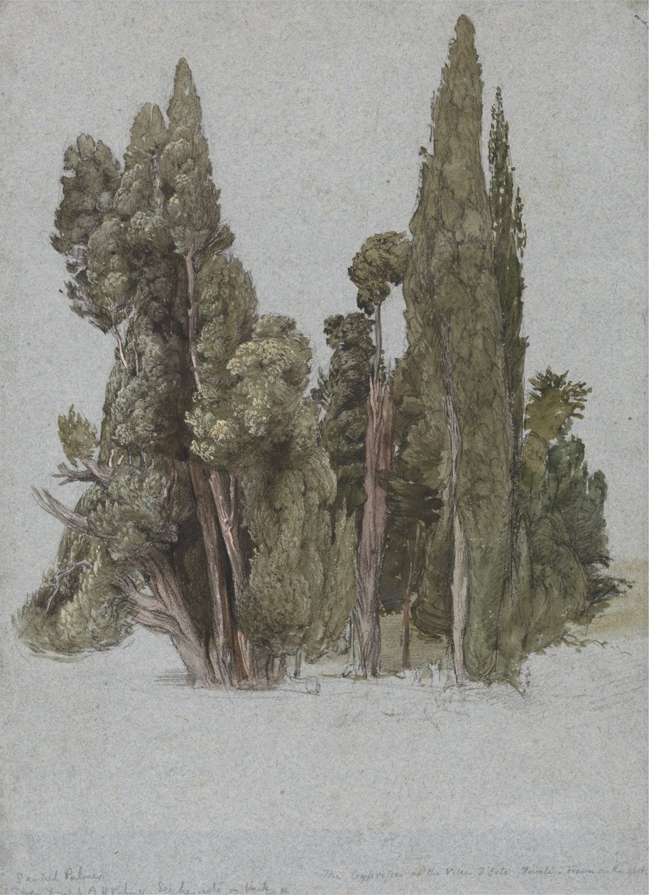 Sypressene ved Villa d'Este, Tivoli av Samuel Palmer