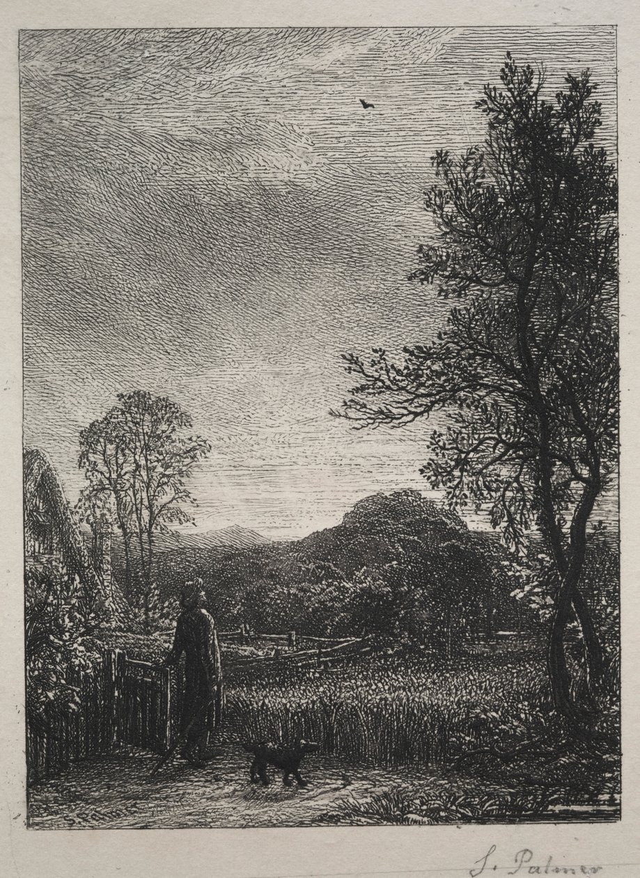 The Skylark, 1850. av Samuel Palmer