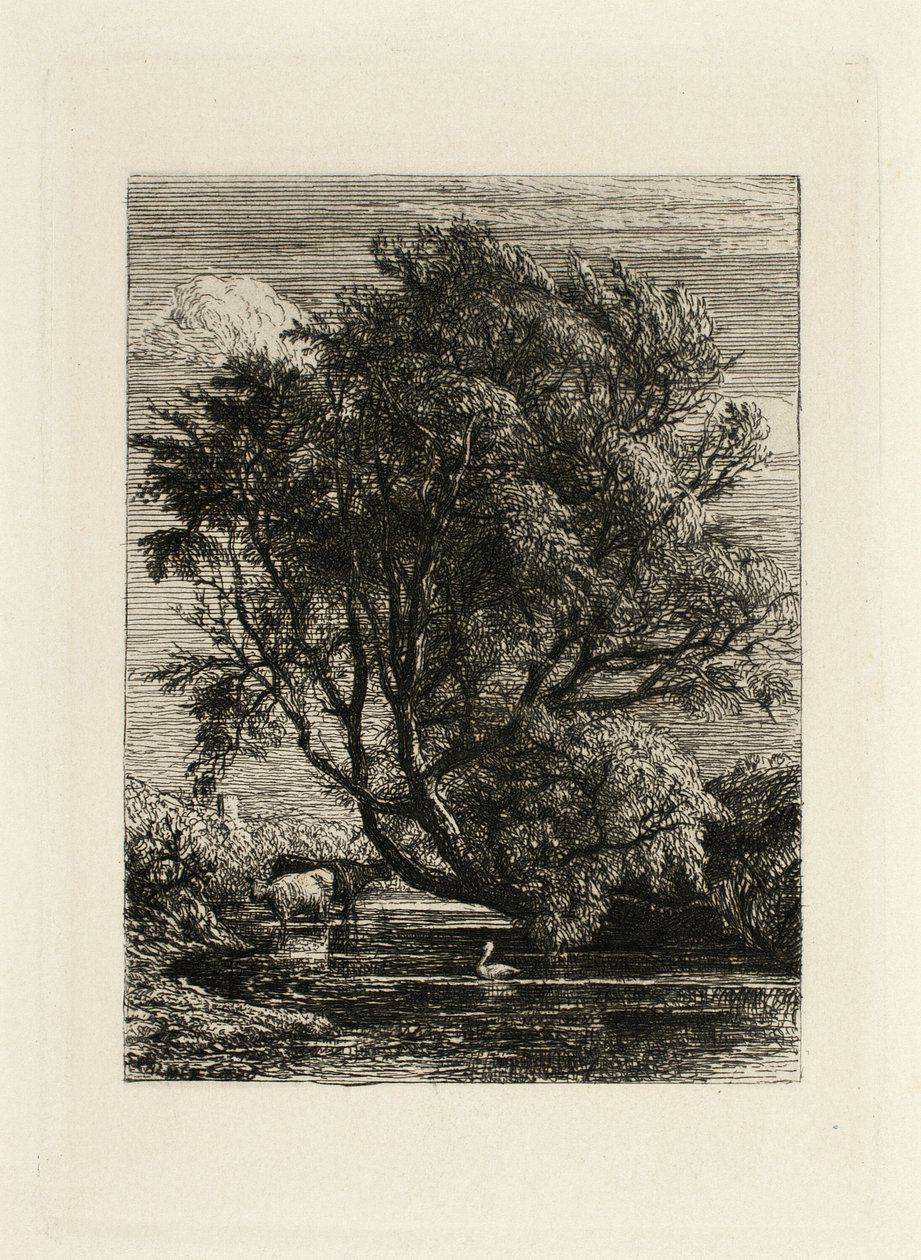 Willow av Samuel Palmer
