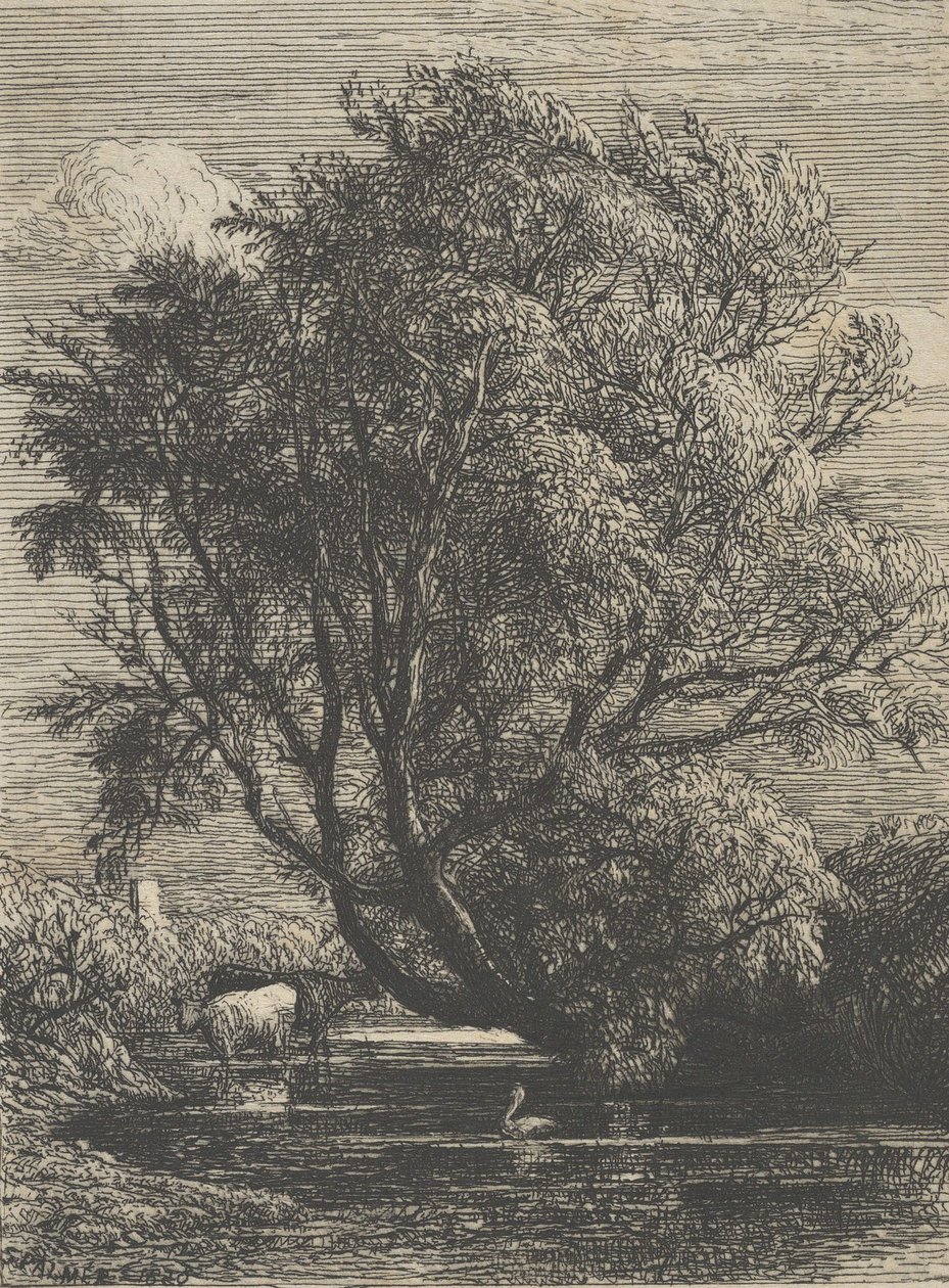 The Willow, 1850.    1154822   no       norwegian Successfully Translated  Original: Two studies of a sitting girl playing a zither Translat: Two studies of a sitting girl playing a zither 1268132 no norwegian Successfully Translated Original: 131-0635415  av Samuel Palmer