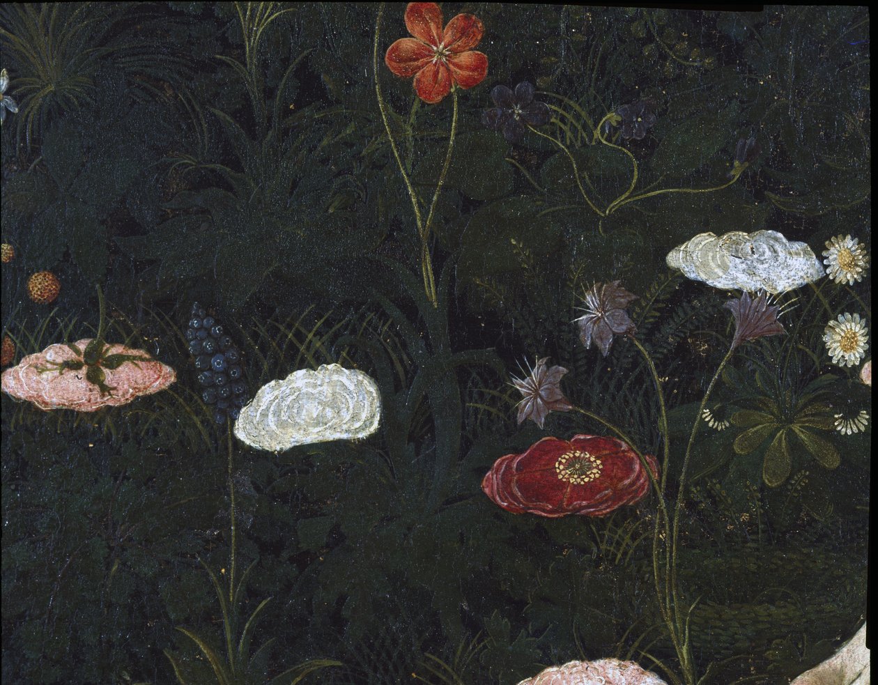 Primavera, ca. 1478, tempera på paneldetalj av 558 av Sandro Botticelli