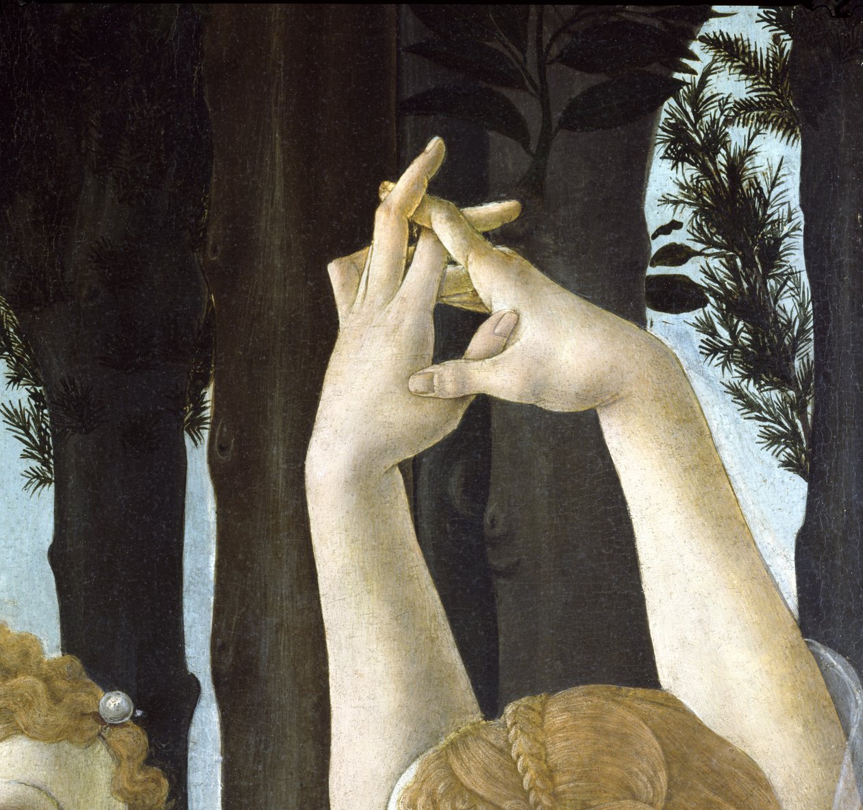 Primavera, ca. 1478, tempera på paneldetalj av 558 av Sandro Botticelli